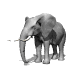 Animations - 080